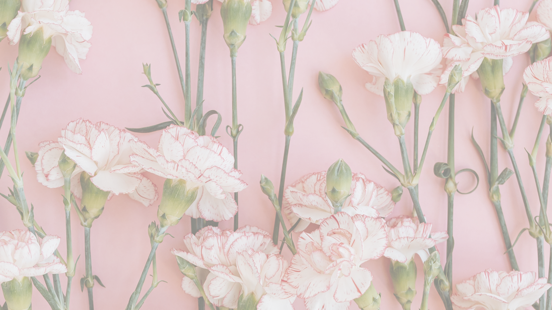 8 Magical Ways to Start Your Gratitude Journal