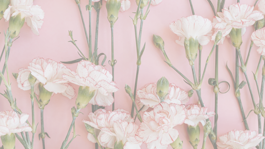 8 Magical Ways to Start Your Gratitude Journal